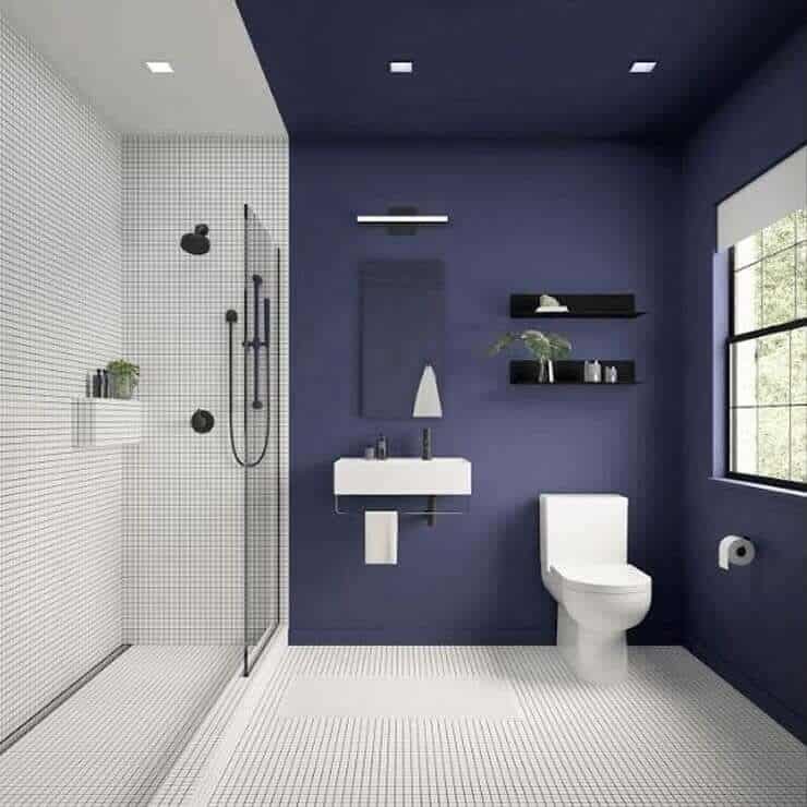 Navy Accent & Minimalist Walk-In Bathroom